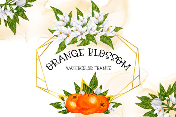 Download Orange Blossom Frames - Premium Resources
