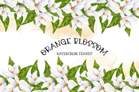 Download Orange Blossom Borders - Premium Resources